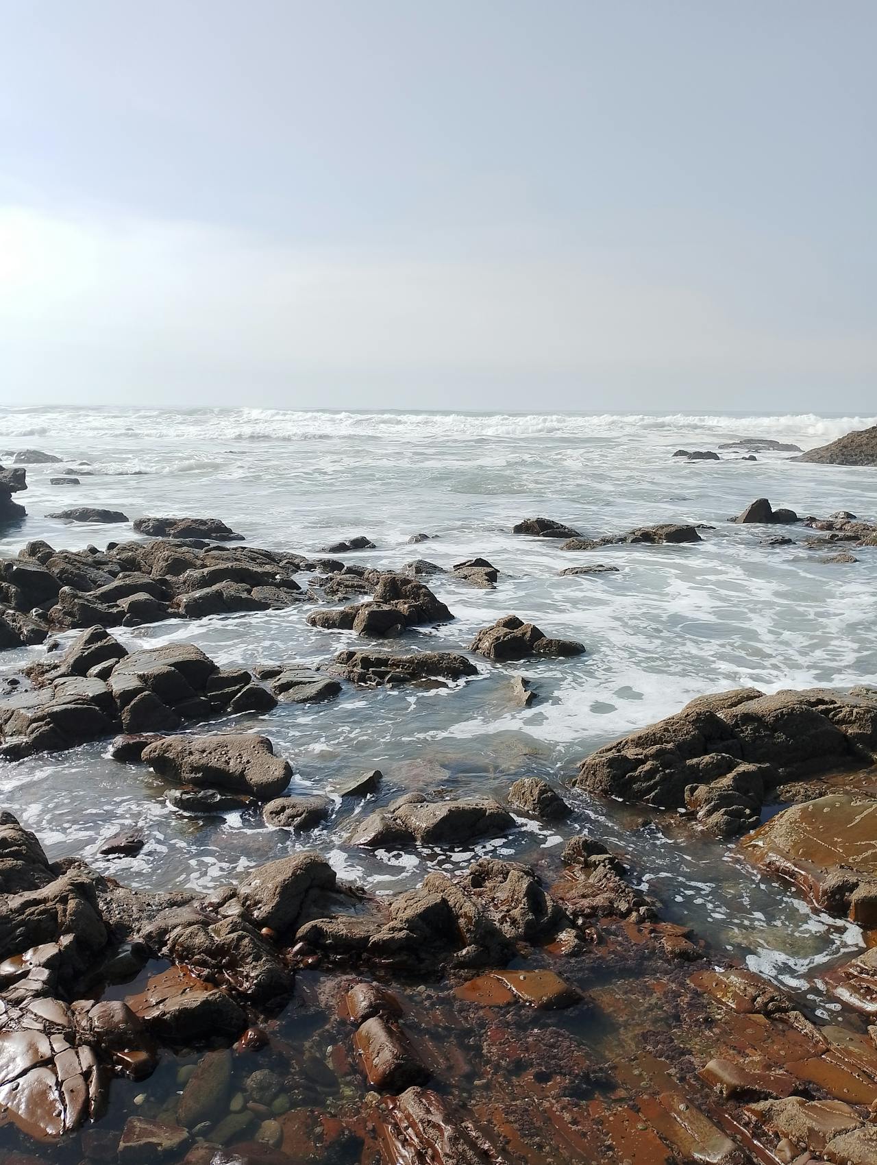 Benchmark Analysis on TidesDB v8.5.0 and RocksDB v10.10.1