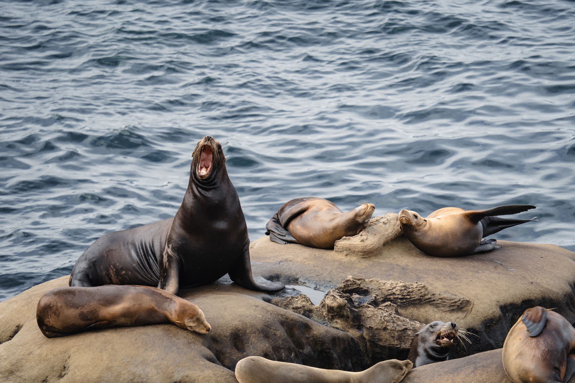 TideSQL 5 Arrives in MariaDB, How Does It Stack Up Against InnoDB?