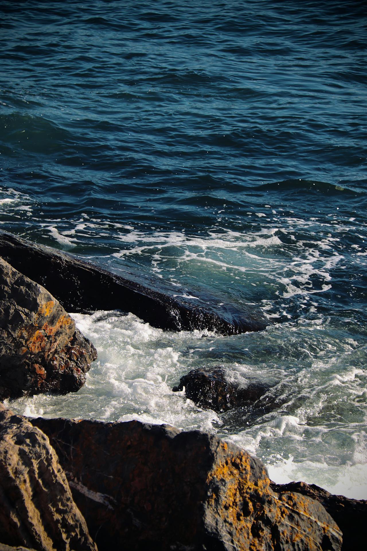 Benchmark Analysis on TidesDB v8.9.0 and RocksDB v11.0.3