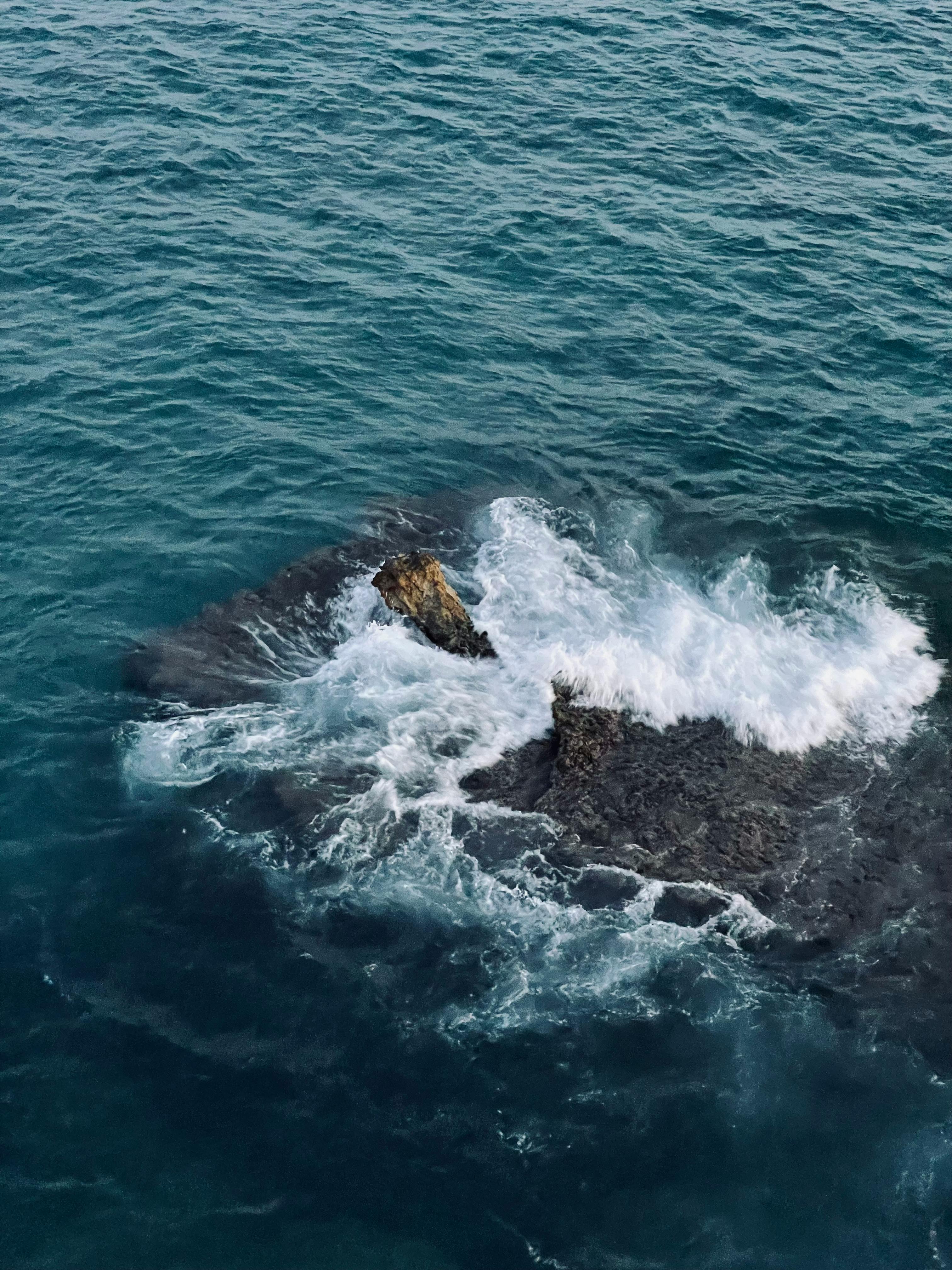 Benchmark Analysis on TidesDB v8.2.1 and RocksDB v10.10.1